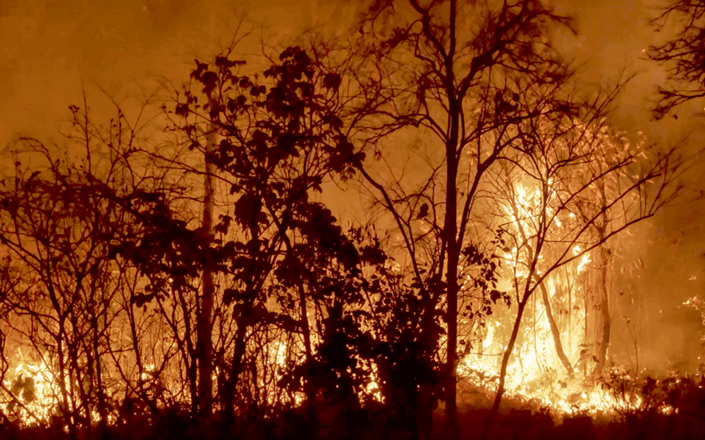 Jones Road Fire shows how fragile NJ’s Pine Barrens are